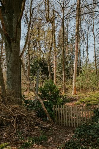 Outdoor Pictures 23