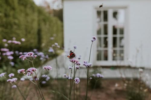Outdoor Pictures 24