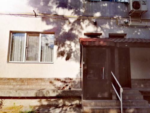 Outdoor Pictures 10