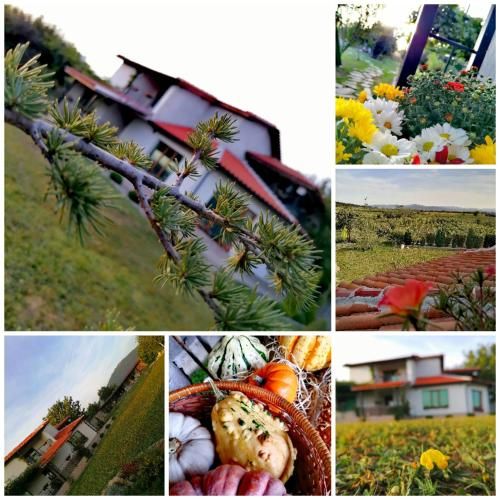 Outdoor Pictures 1