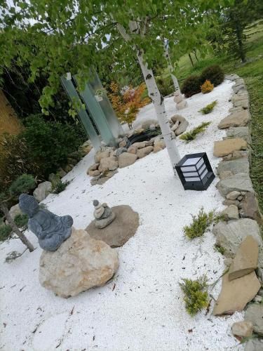 Outdoor Pictures 12