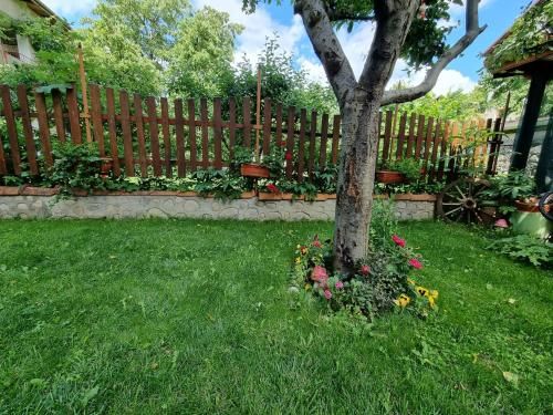 Outdoor Pictures 6