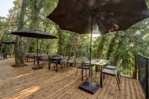 Outdoor Pictures 24