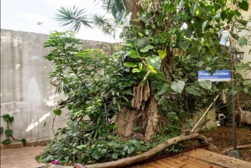 Casa romântica Internet 500Mb