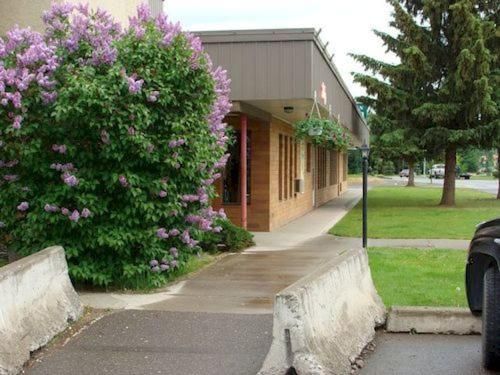Outdoor Pictures 4