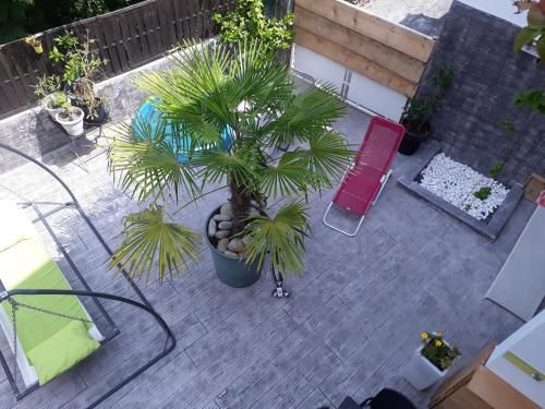 Outdoor Pictures 3