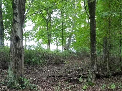 Outdoor Pictures 2
