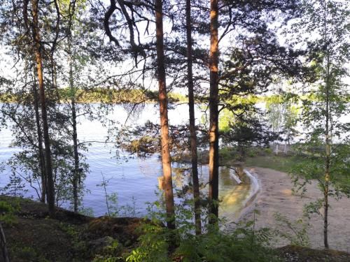 Outdoor Pictures 2