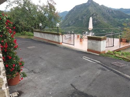 cimmo