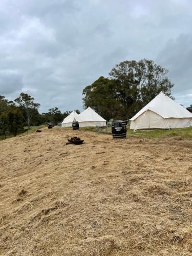 Triple Creek Guest House - Barossa Region