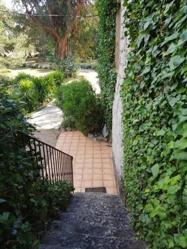 Outdoor Pictures 11