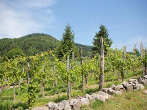 Great chalet with dishwasher, in the High Vosges
