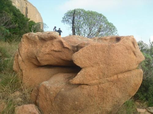 Outdoor Pictures 7