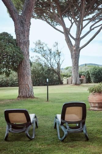 Outdoor Pictures 8
