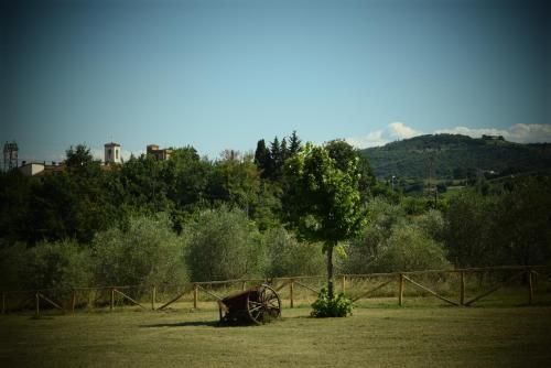Outdoor Pictures 13