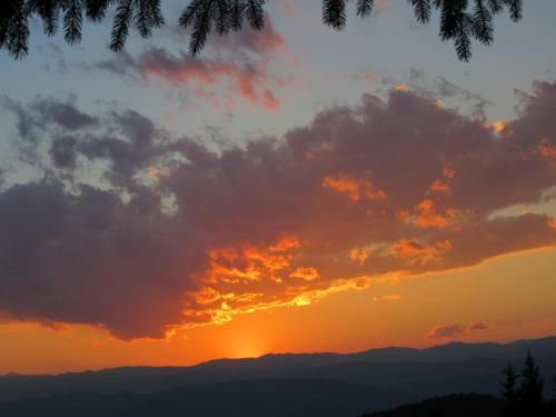 Outdoor Pictures 20