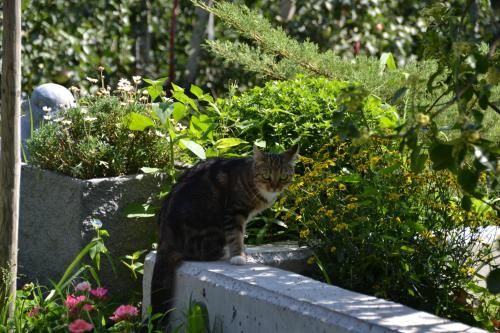 Outdoor Pictures 14
