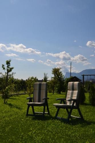 Outdoor Pictures 17