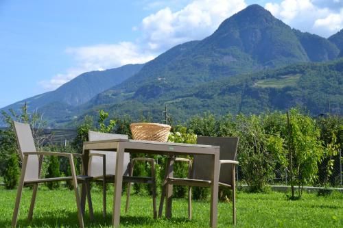 Outdoor Pictures 20