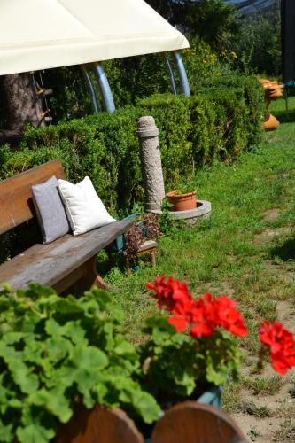 Outdoor Pictures 22