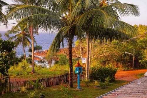 Outdoor Pictures 22