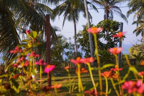 Outdoor Pictures 24