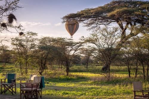 Gnu Ndutu Camp