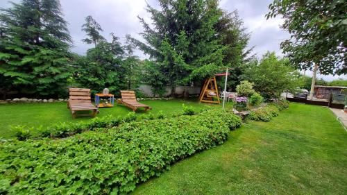 Outdoor Pictures 11