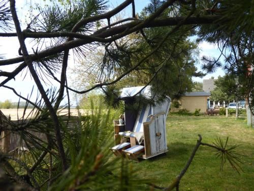Outdoor Pictures 7