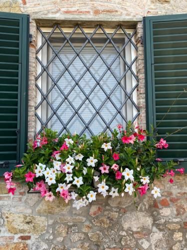 Outdoor Pictures 20