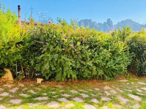 Outdoor Pictures 24