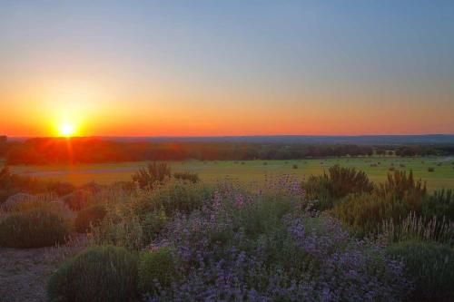 Outdoor Pictures 24