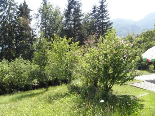 Outdoor Pictures 5