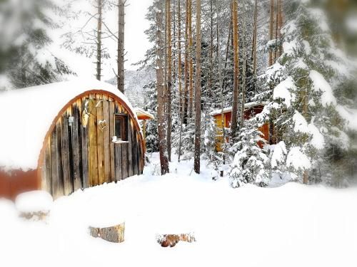 Outdoor Pictures 23