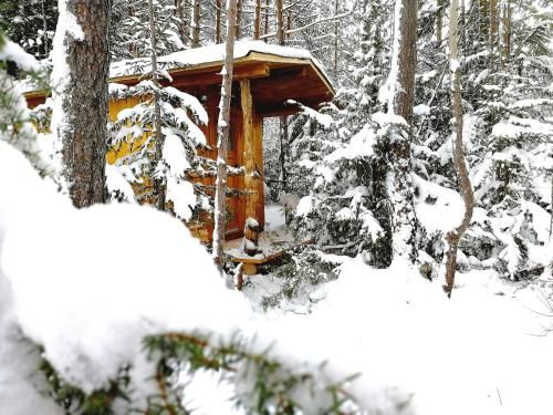 Outdoor Pictures 7