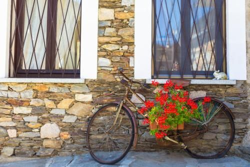 Outdoor Pictures 24