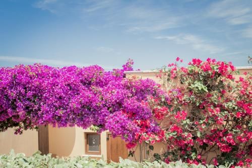 Outdoor Pictures 15