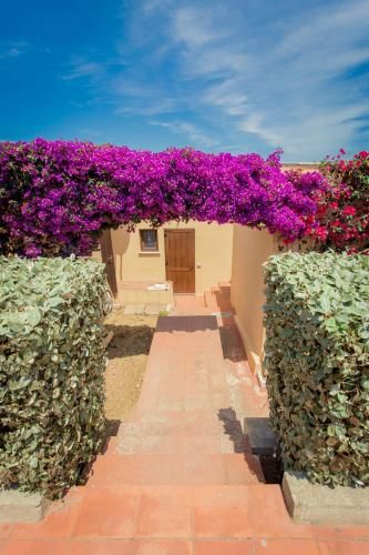 Outdoor Pictures 20