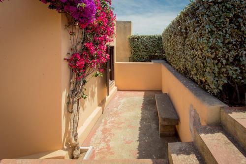 Outdoor Pictures 23