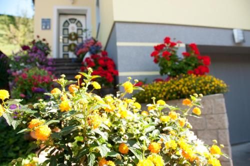 Outdoor Pictures 10