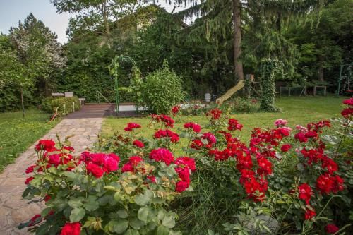 Outdoor Pictures 15