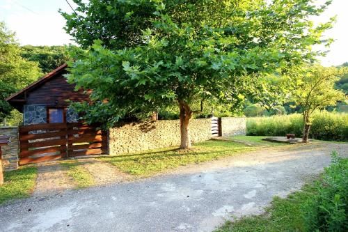 Outdoor Pictures 3