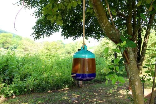 Outdoor Pictures 7