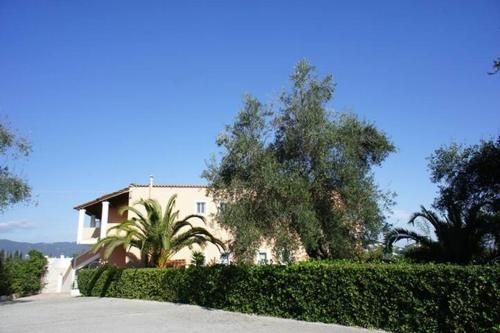 Outdoor Pictures 1