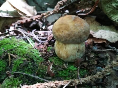 Outdoor Pictures 9