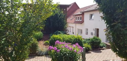 Outdoor Pictures 1