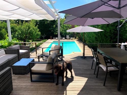 Cannes Villa swimming pool, garden, free car park and calm