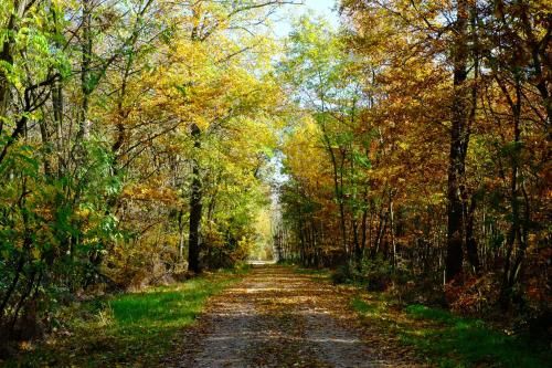 Outdoor Pictures 23