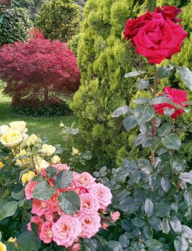 Outdoor Pictures 1