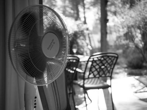 Outdoor Pictures 2